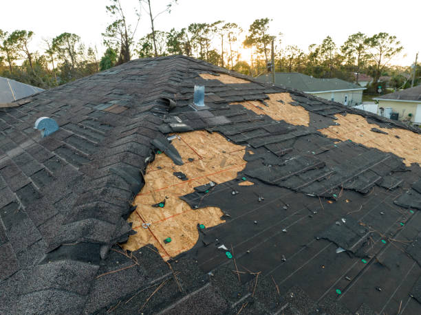 Best Storm Damage Roof Repair  in Elton, LA